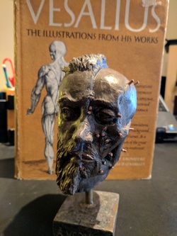 Vesalius bust by Pascale Pollier, number 6 of 12
