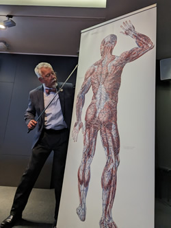 The life-size anatomy imagined by Mascagni