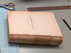 Repair process Auvard “Traité D’Accouchements” 1898