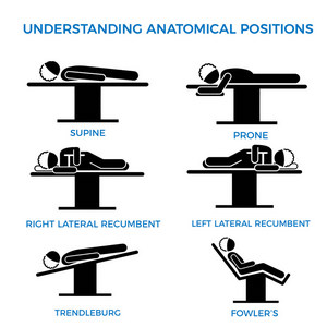 "Anatomical Positions" WRONG!!