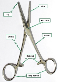 Anatomy of a hemostatic ring forceps