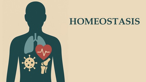 Homeostasis