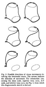 Reentrant circuits (James 1963)